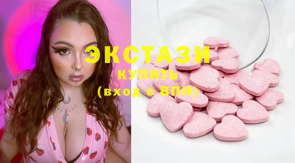 гидра Надым