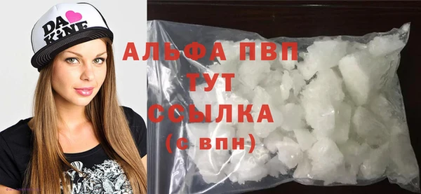 гидра Надым