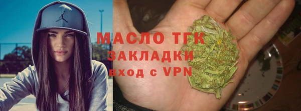 гидра Надым