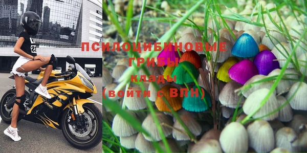 дживик Нея