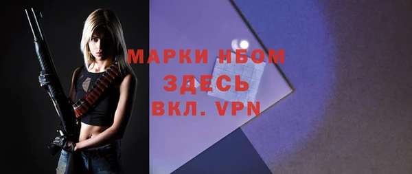 гидра Надым