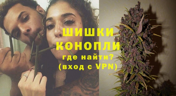 гидра Надым