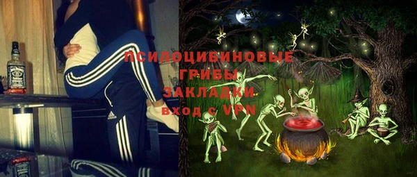 дживик Нея