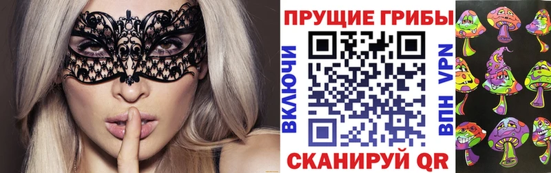 как найти наркотики  Отрадная  Галлюциногенные грибы GOLDEN TEACHER 